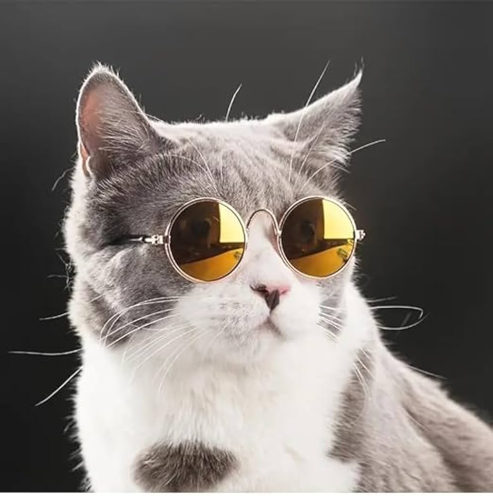 Round shape cat sunglass_img_1