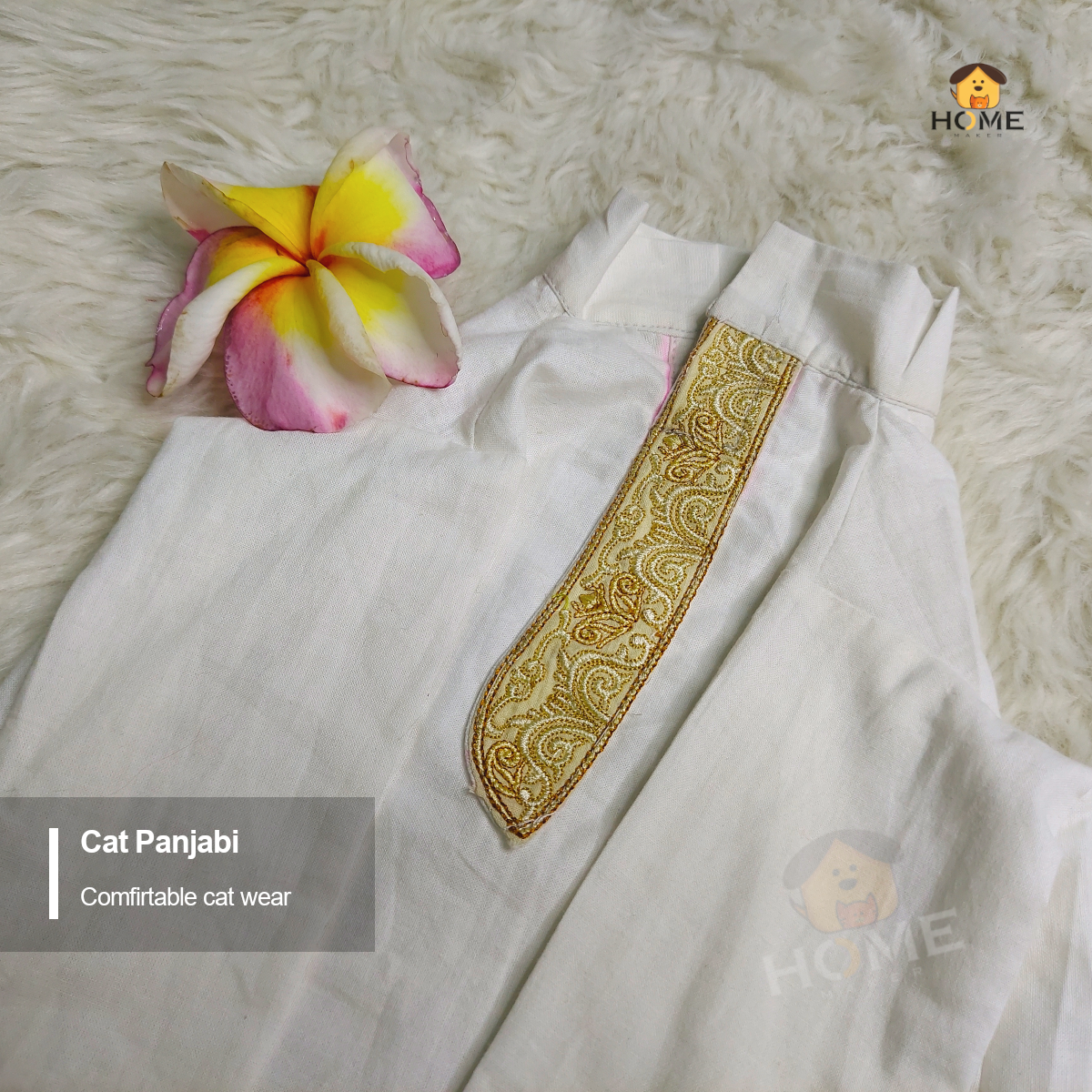 2.3 kg cat panjabi_img_0