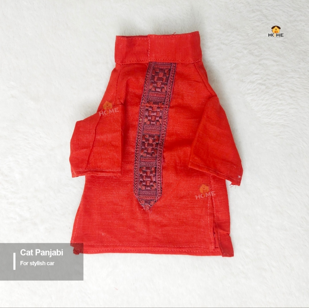 1.7 kg cat panjabi_img_1