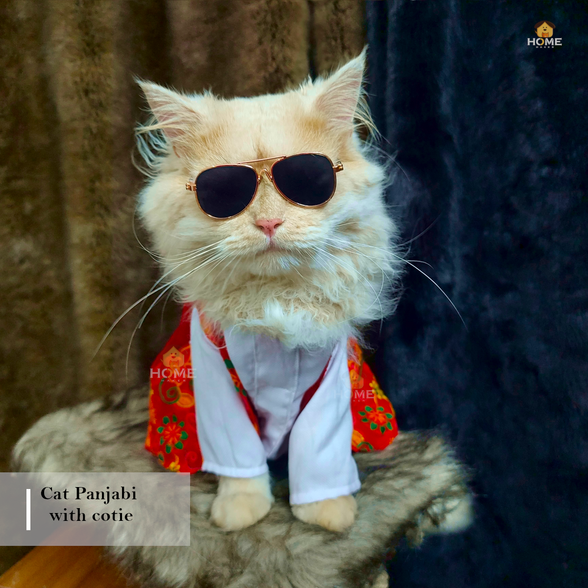1 kg cat panjabi_img_0