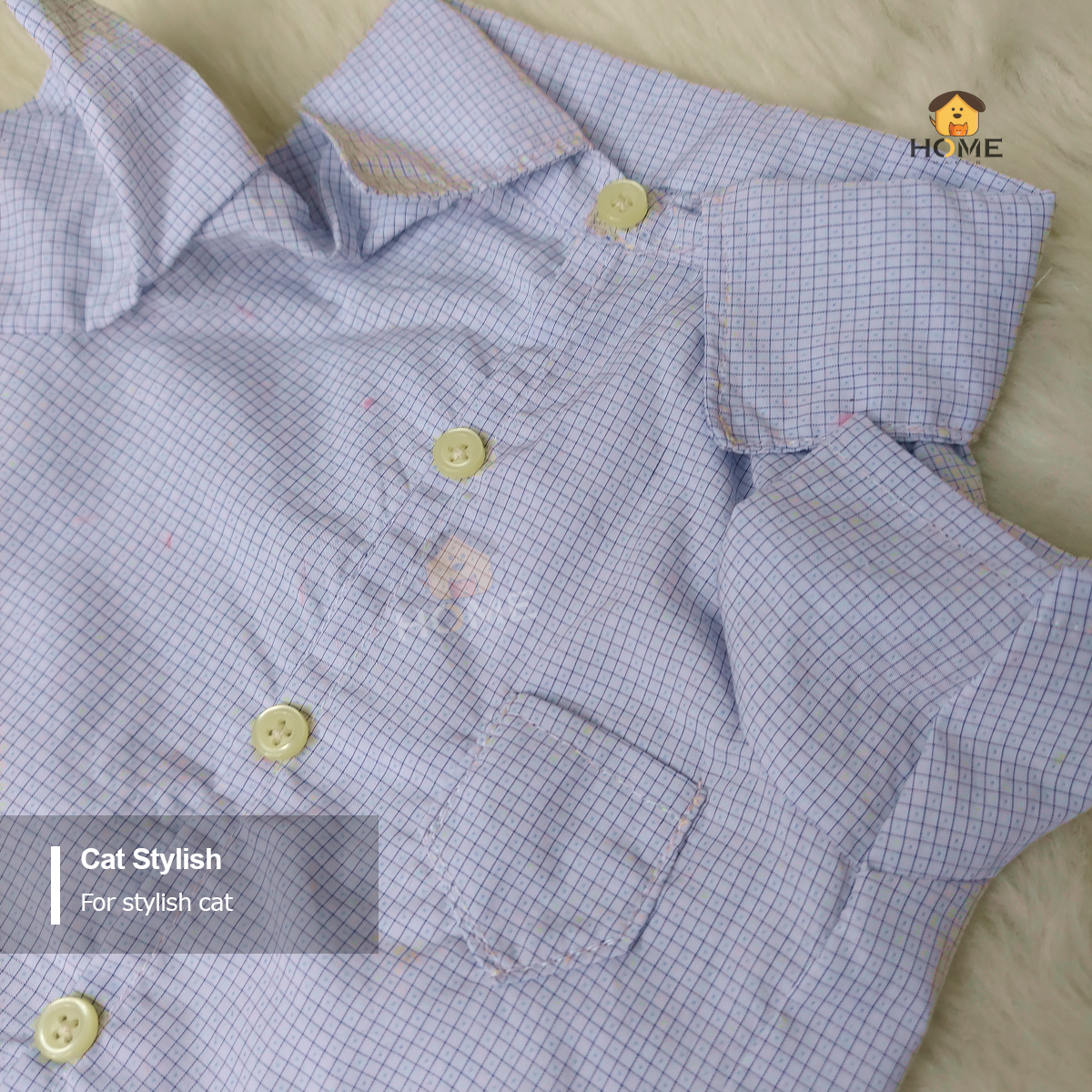 3 kg cat shirt_img_1