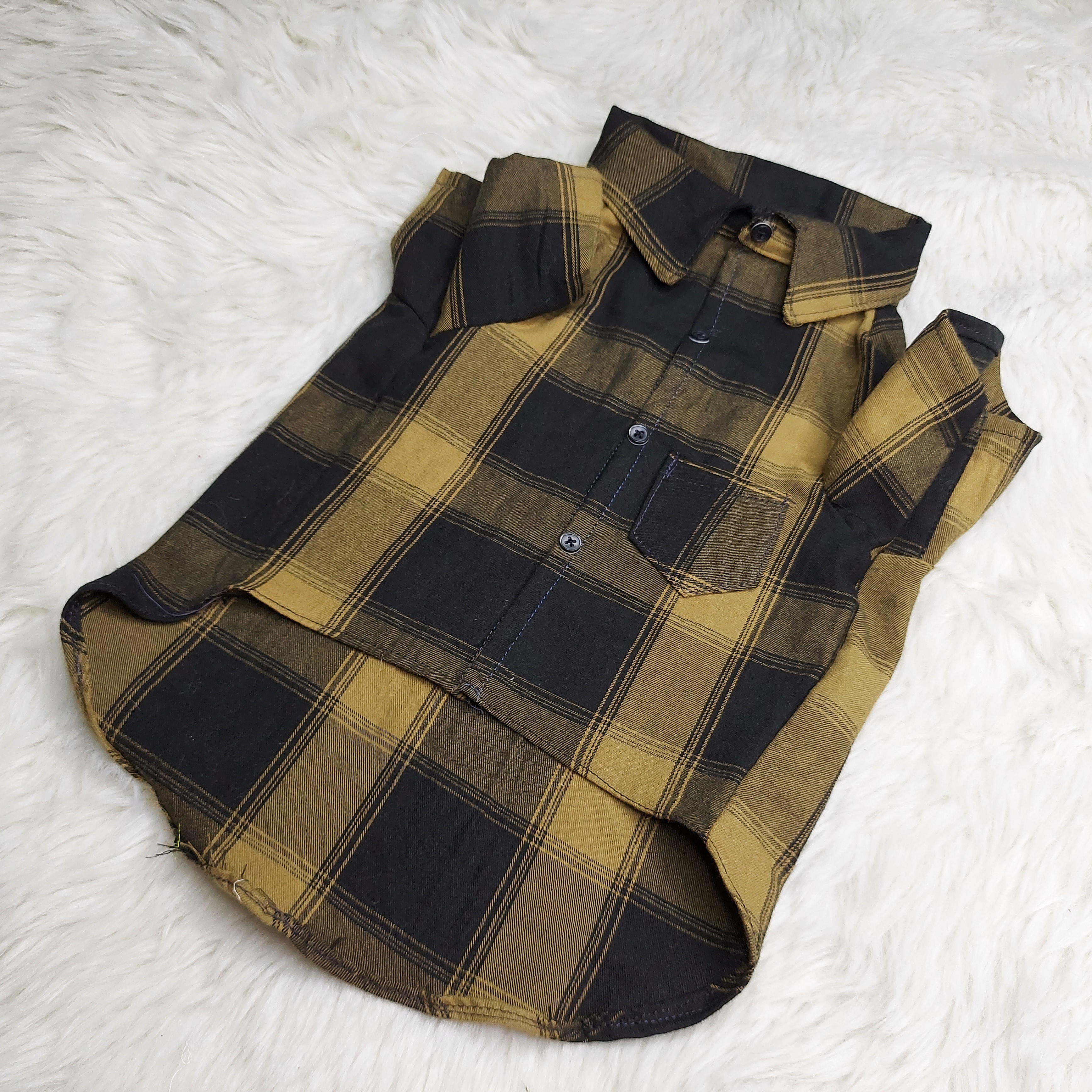 2.3 kg cat shirt_img_1