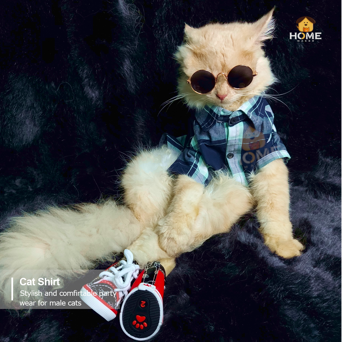 2.3 kg cat shirt_img_0