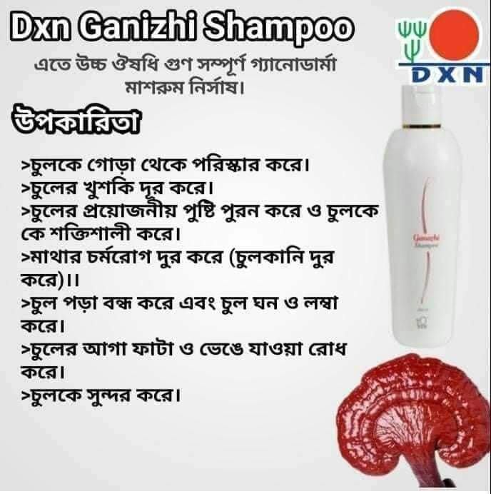 Ganozhi Shampoo