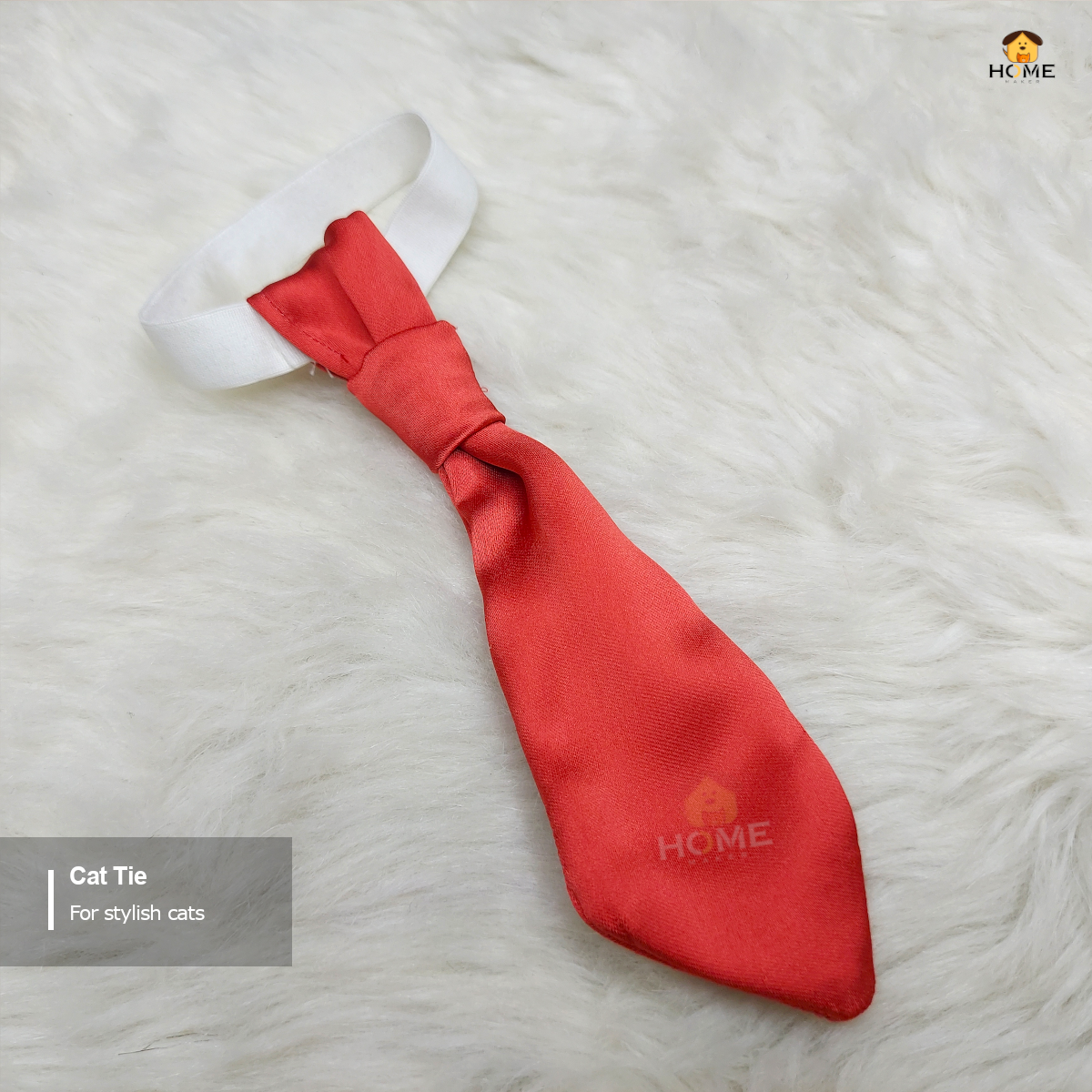 cat tie_img_1