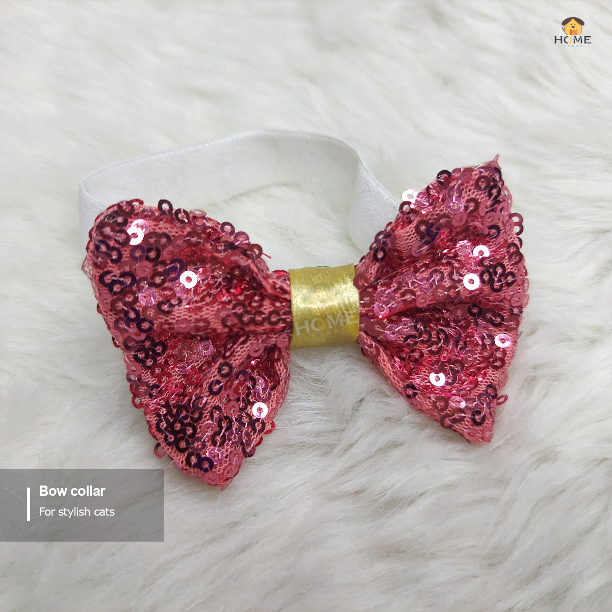 Cat bow_img_1