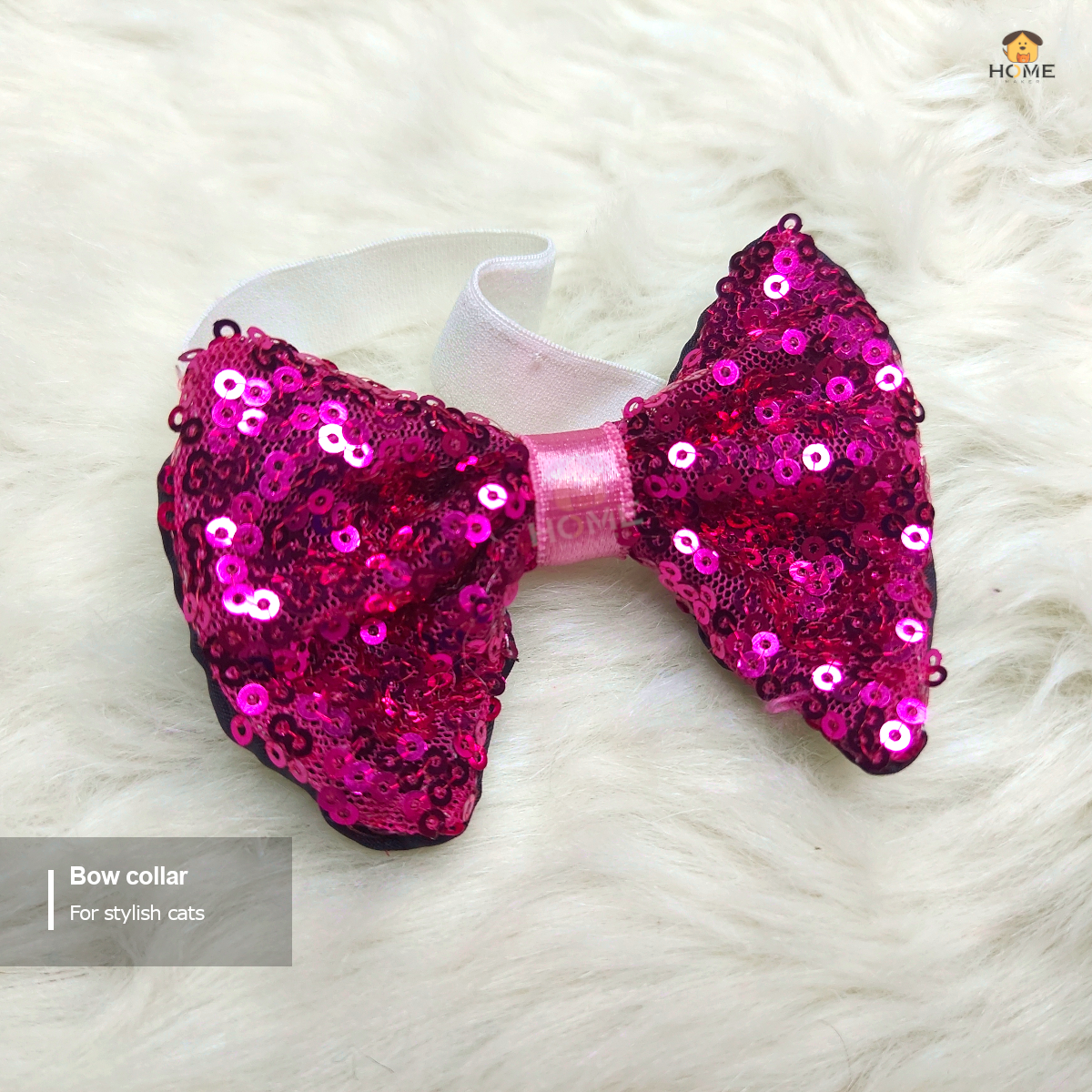 Cat bow_img_0