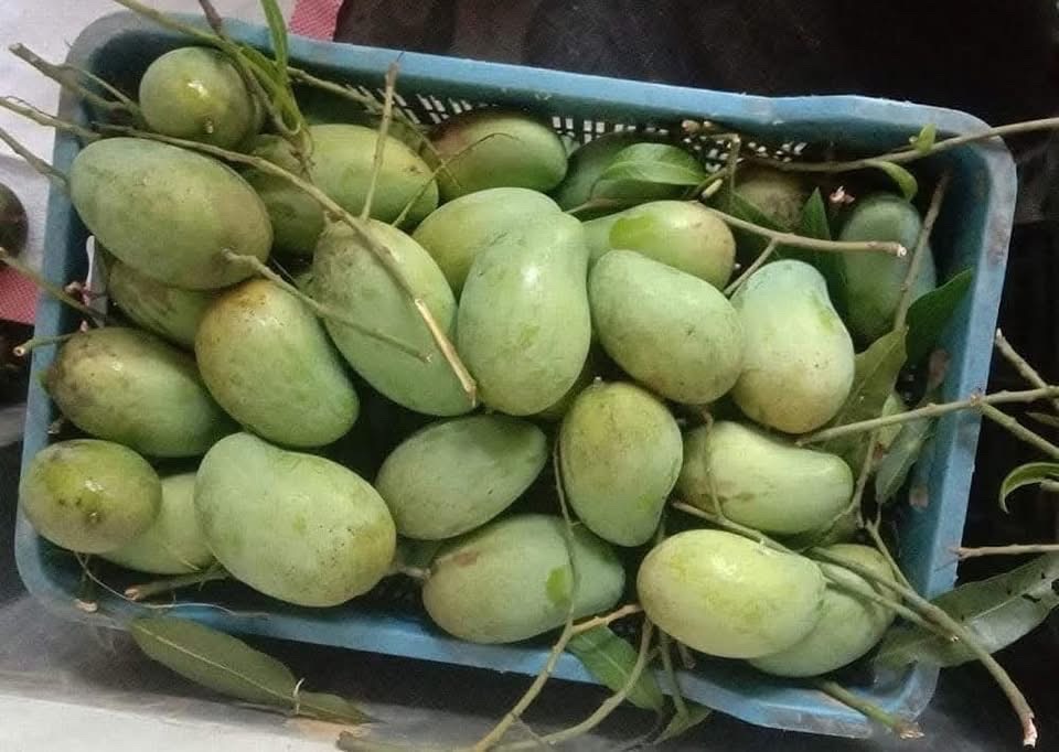 অর্গানিক আম্রুপালি (Am Rupali Mango)_img_4