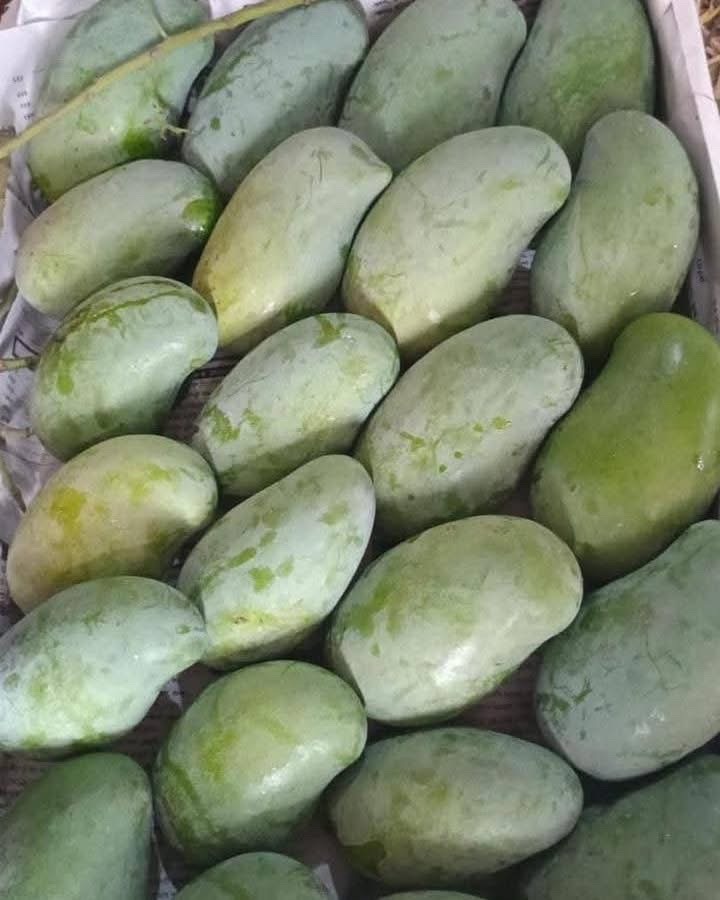 অর্গানিক আম্রুপালি (Am Rupali Mango)_img_6