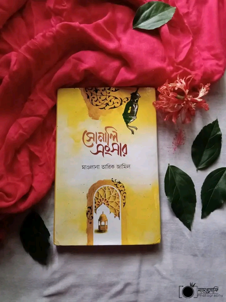 সোনালি সংসার