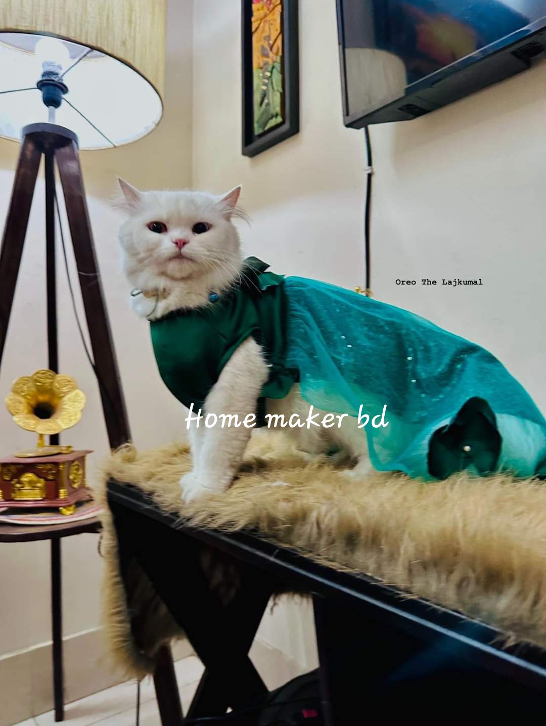 Customer review