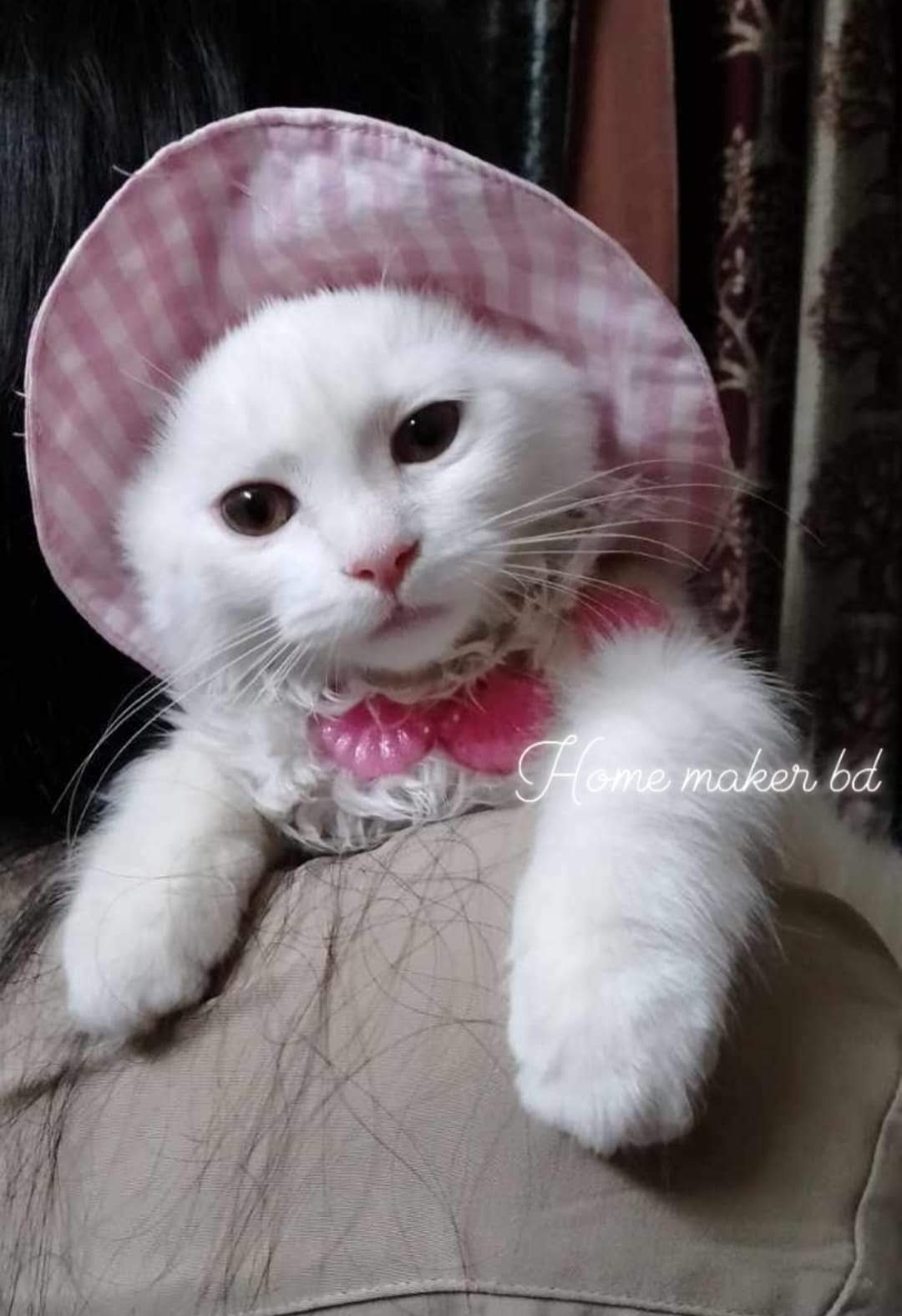 Customer review