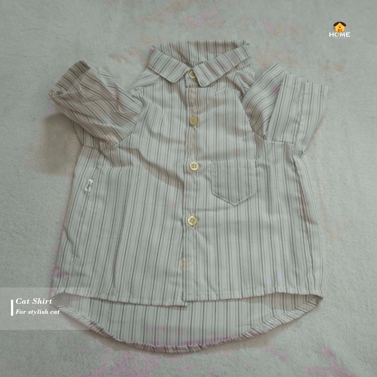 6 kg cat shirt_img_0