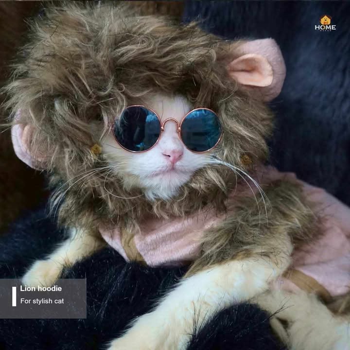 cat laion hoodie (custome)_img_2
