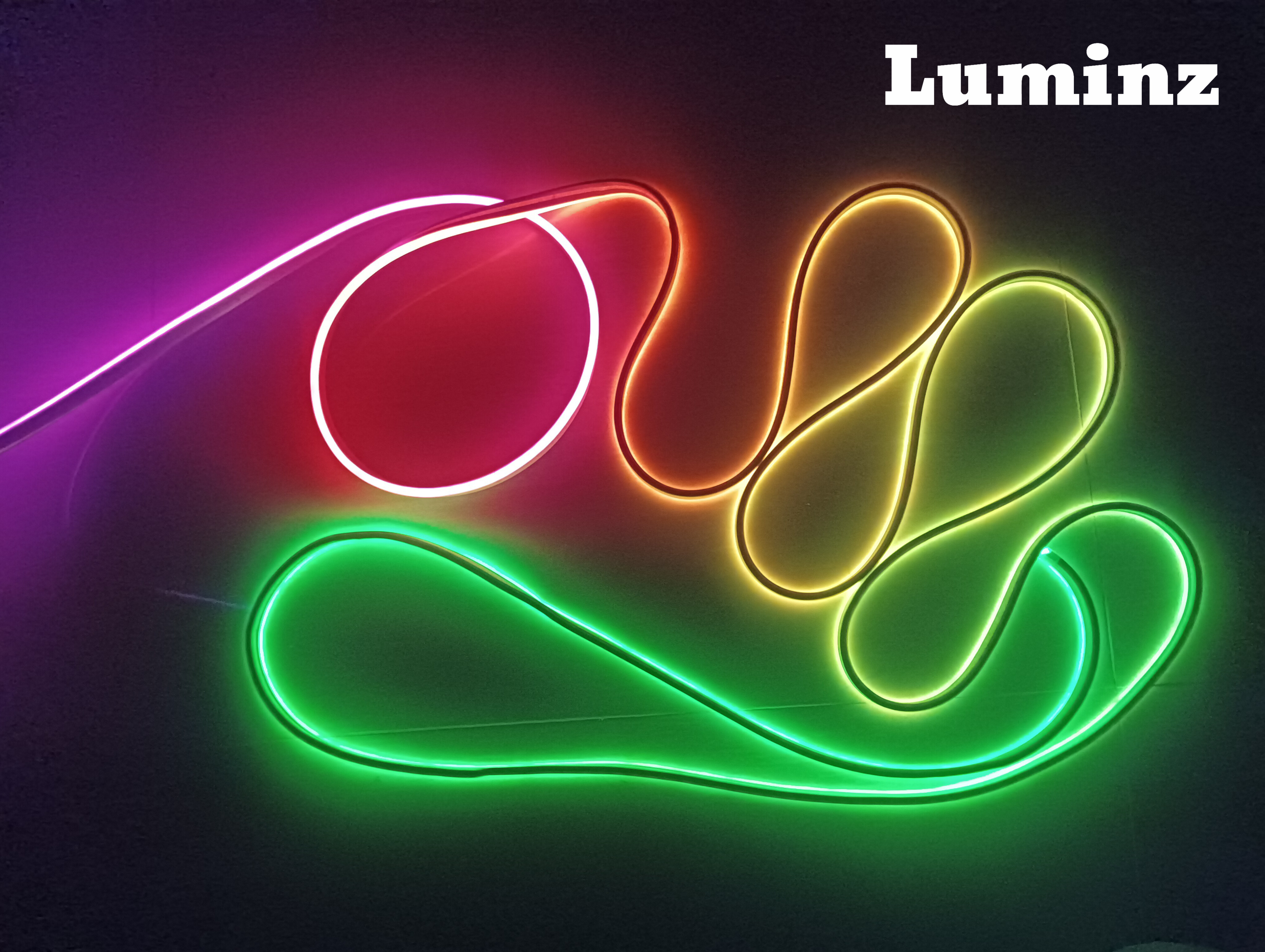 Rgbic Neon Rope (Premium)_img_4