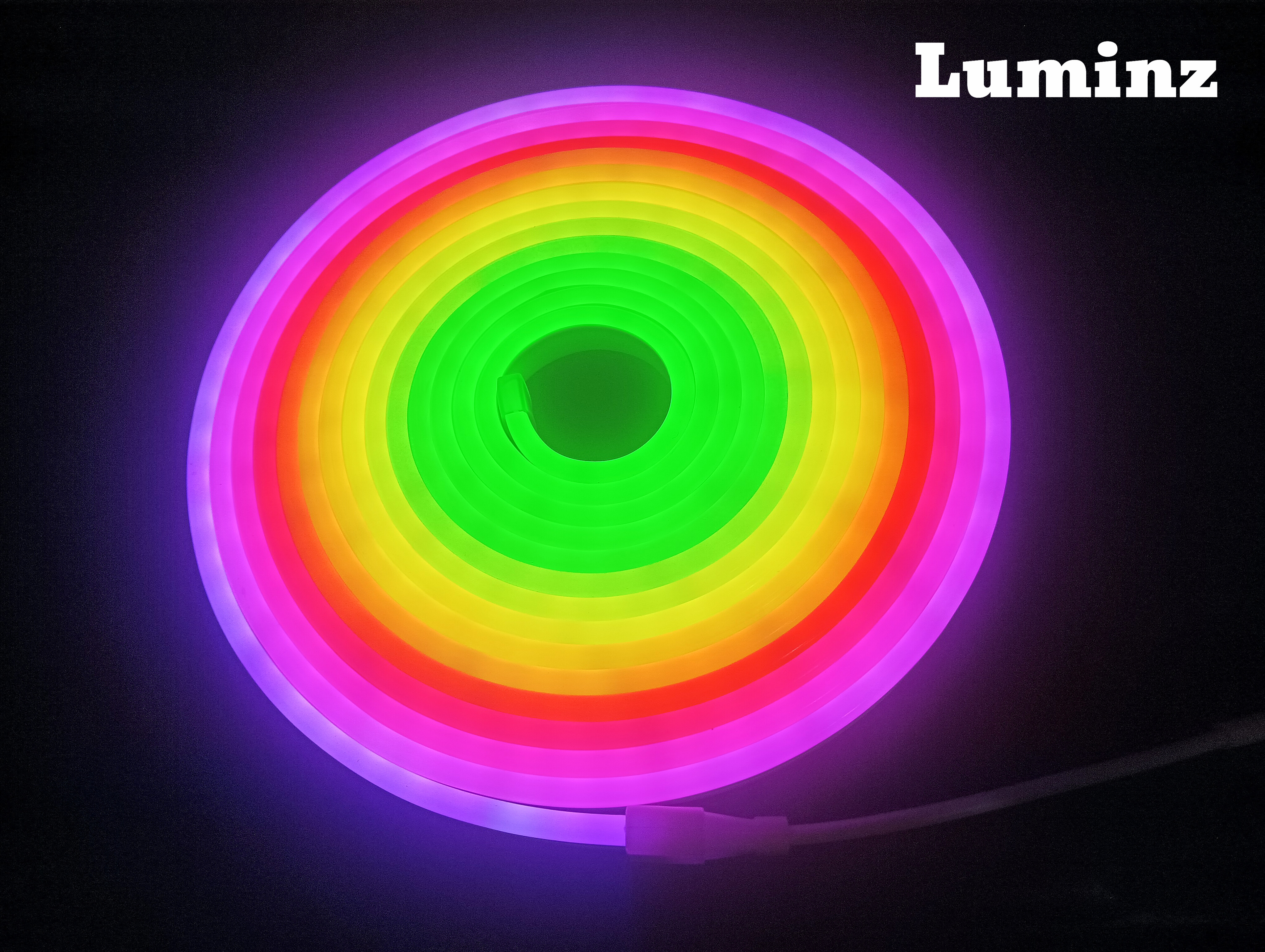 Rgbic Neon Rope (Premium)_img_0