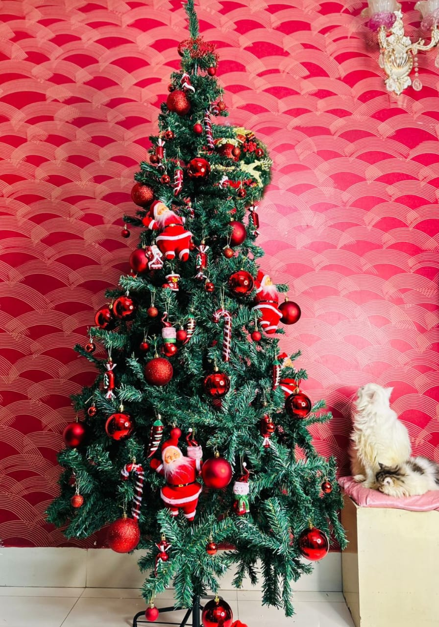 7 Regular Tree with Decorations combo's