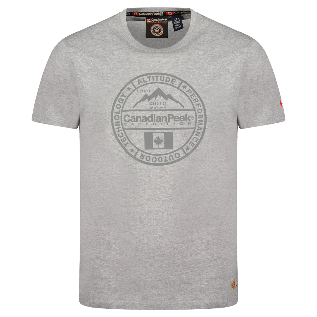 T-Shirt Col Rond avec Impressions et Drapeau GRIS CLAIR
