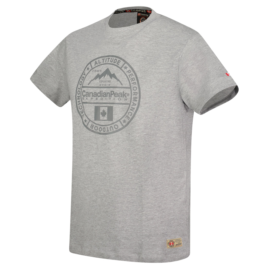 T-Shirt Col Rond avec Impressions et Drapeau GRIS CLAIR_img_1