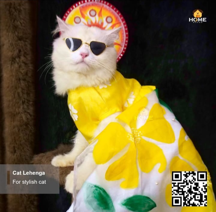 cat lehenga_img_0