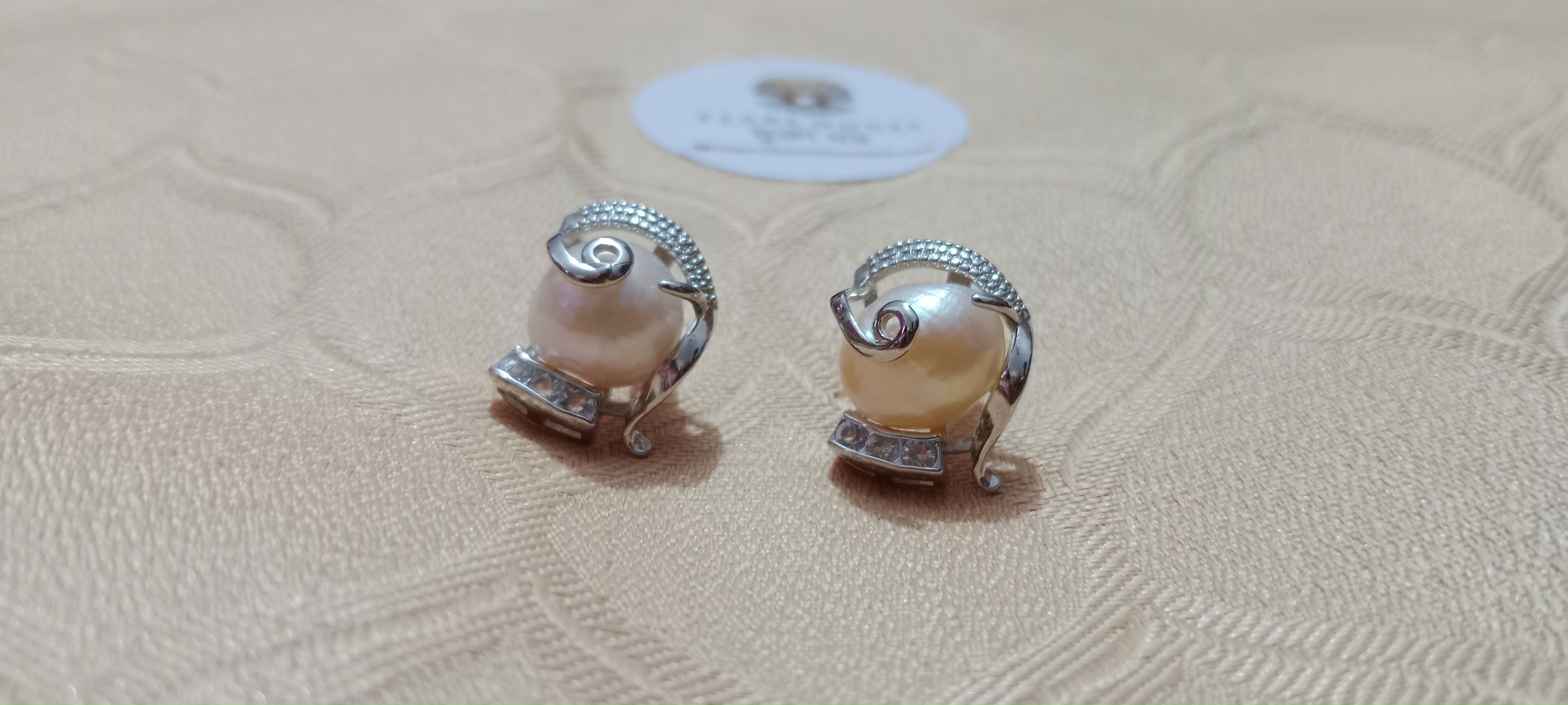 Mother Pearl Ear Ring_img_1