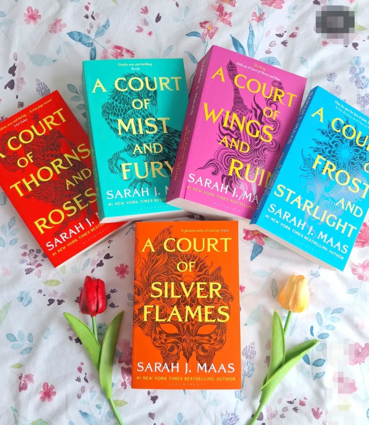 ACOTAR Series - Image 1