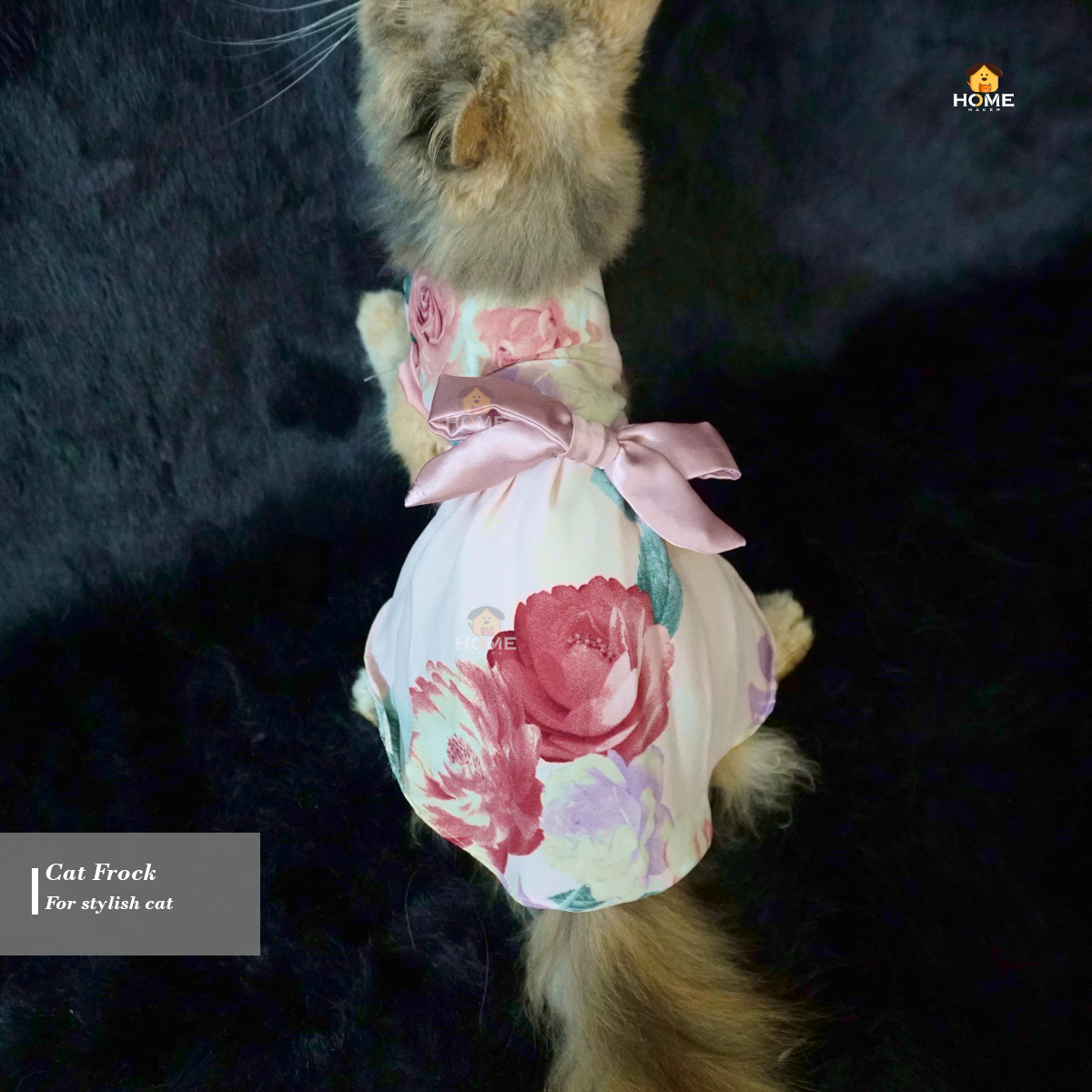 2.5 kg cat frock_img_0