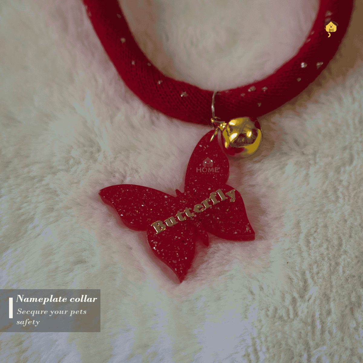 Nameplate collar_img_2