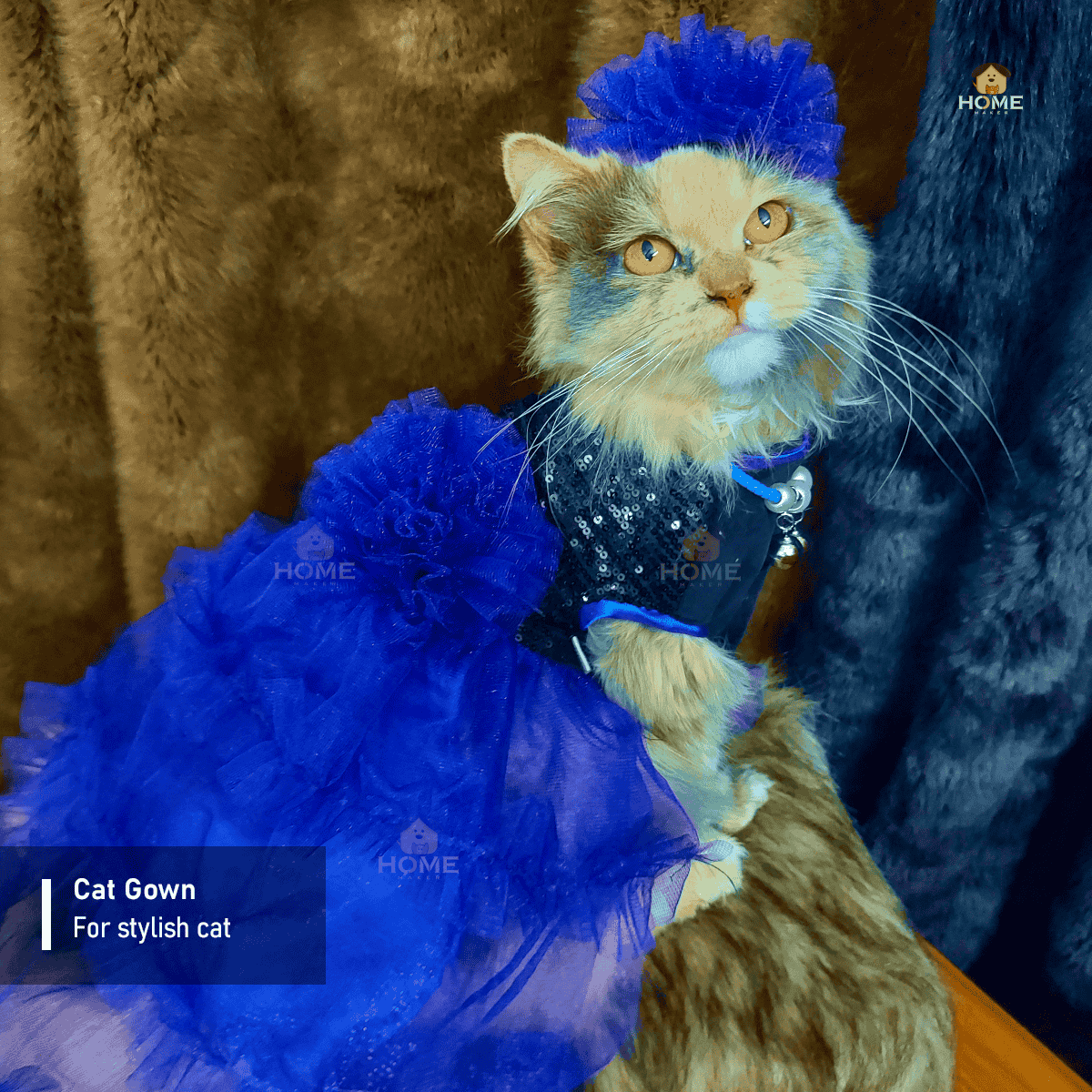 1.7 kg Cat frock_img_0