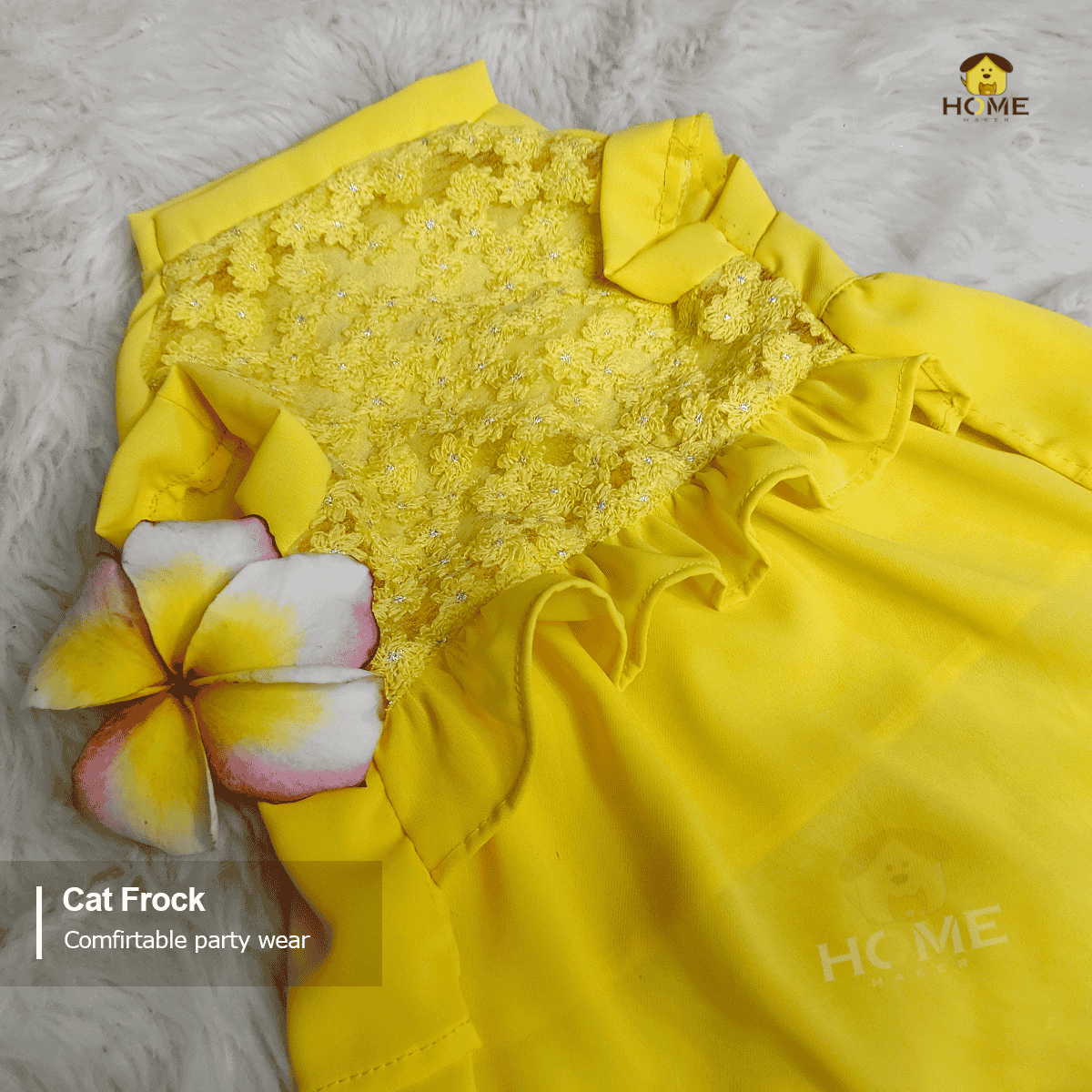 2.3 kg cat frock_img_3