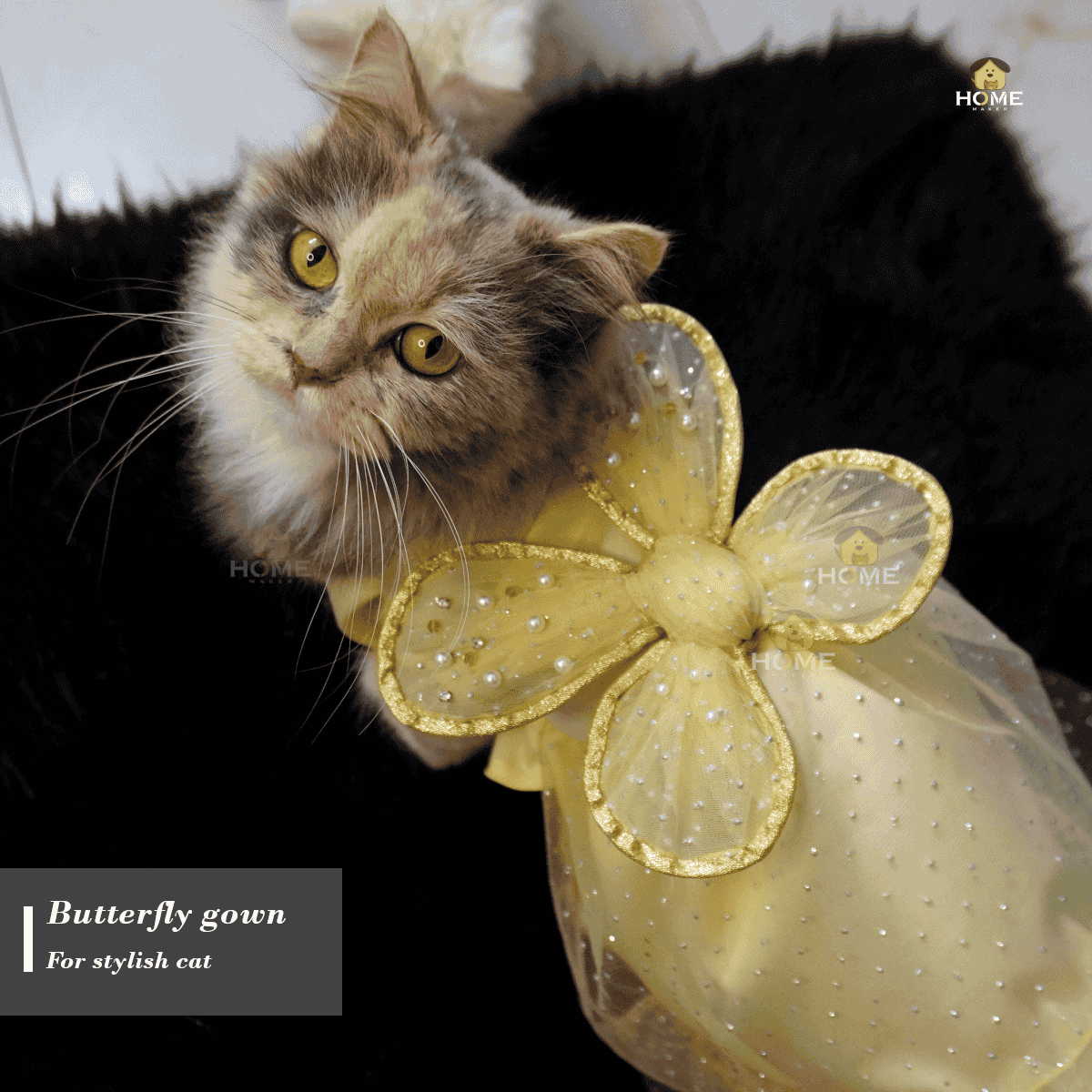 Cat butterfly gown (custome)_img_0