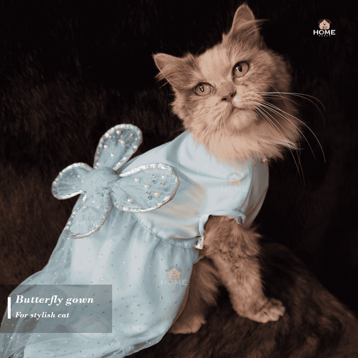 Cat butterfly gown (custome)_img_3