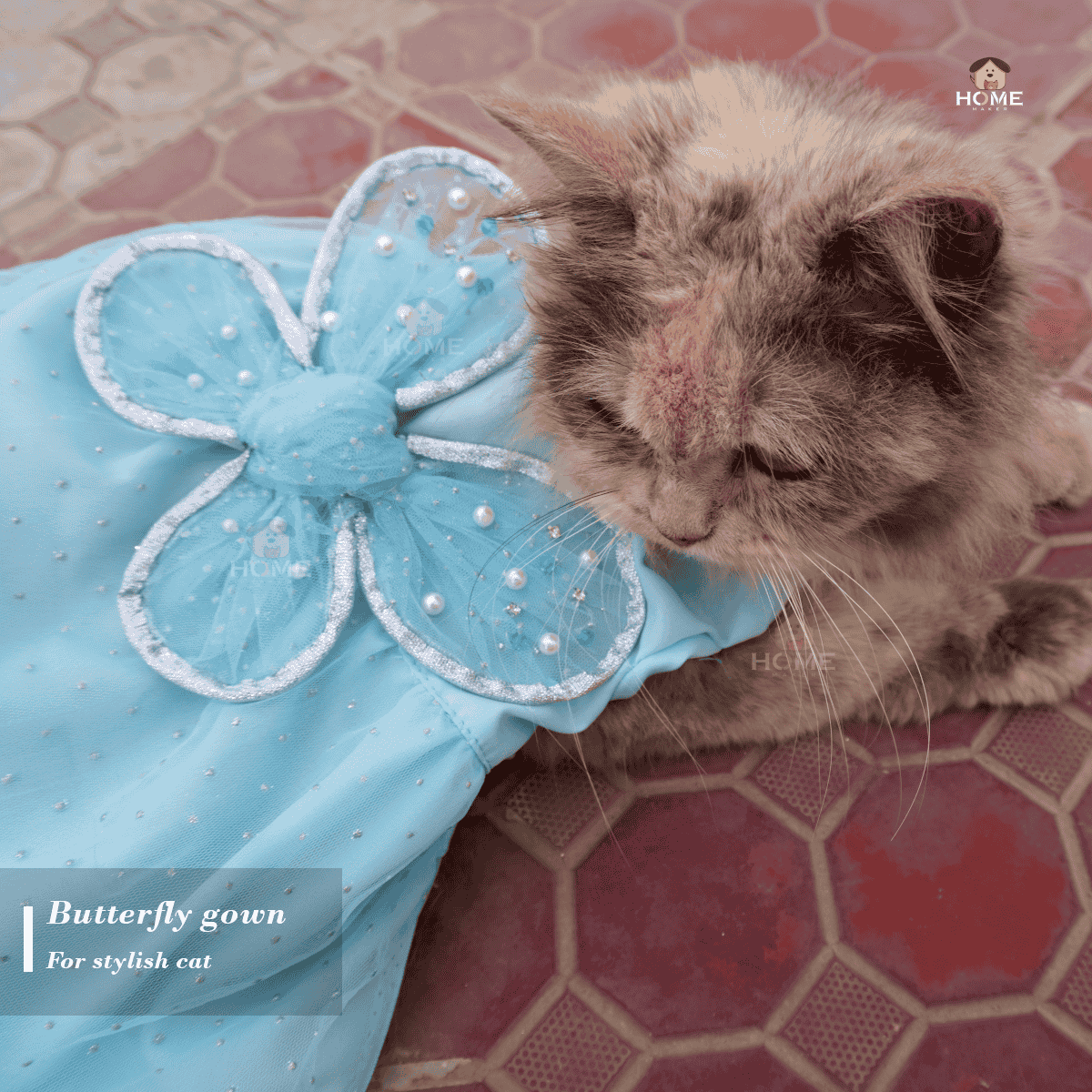 Cat butterfly gown (custome)_img_4