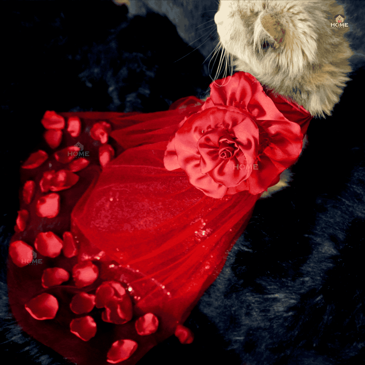 Flower gown (custome)_img_8