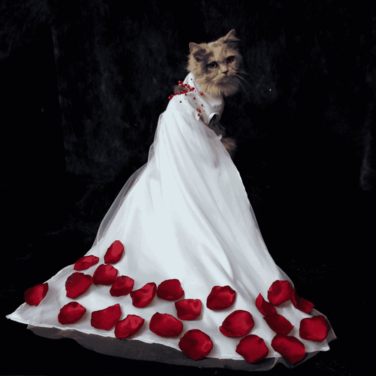 white gown (custome)_img_1