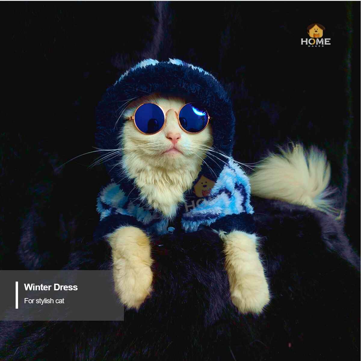 Cat hoodie (10 kg)_img_0