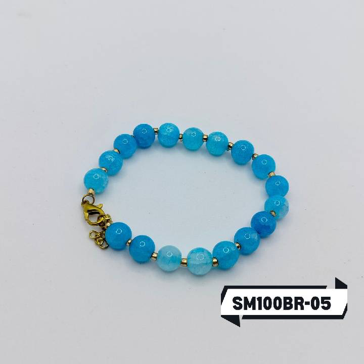 SM100BR-05