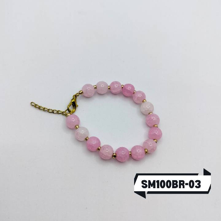 SM100BR-03