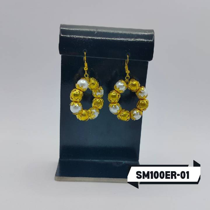 SM100ER-01