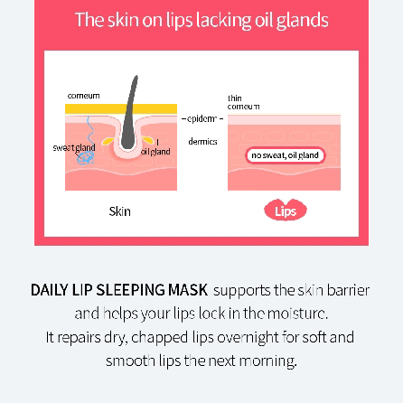 Farmstay Daily Lip Sleeping Mask Red Propolis_img_3