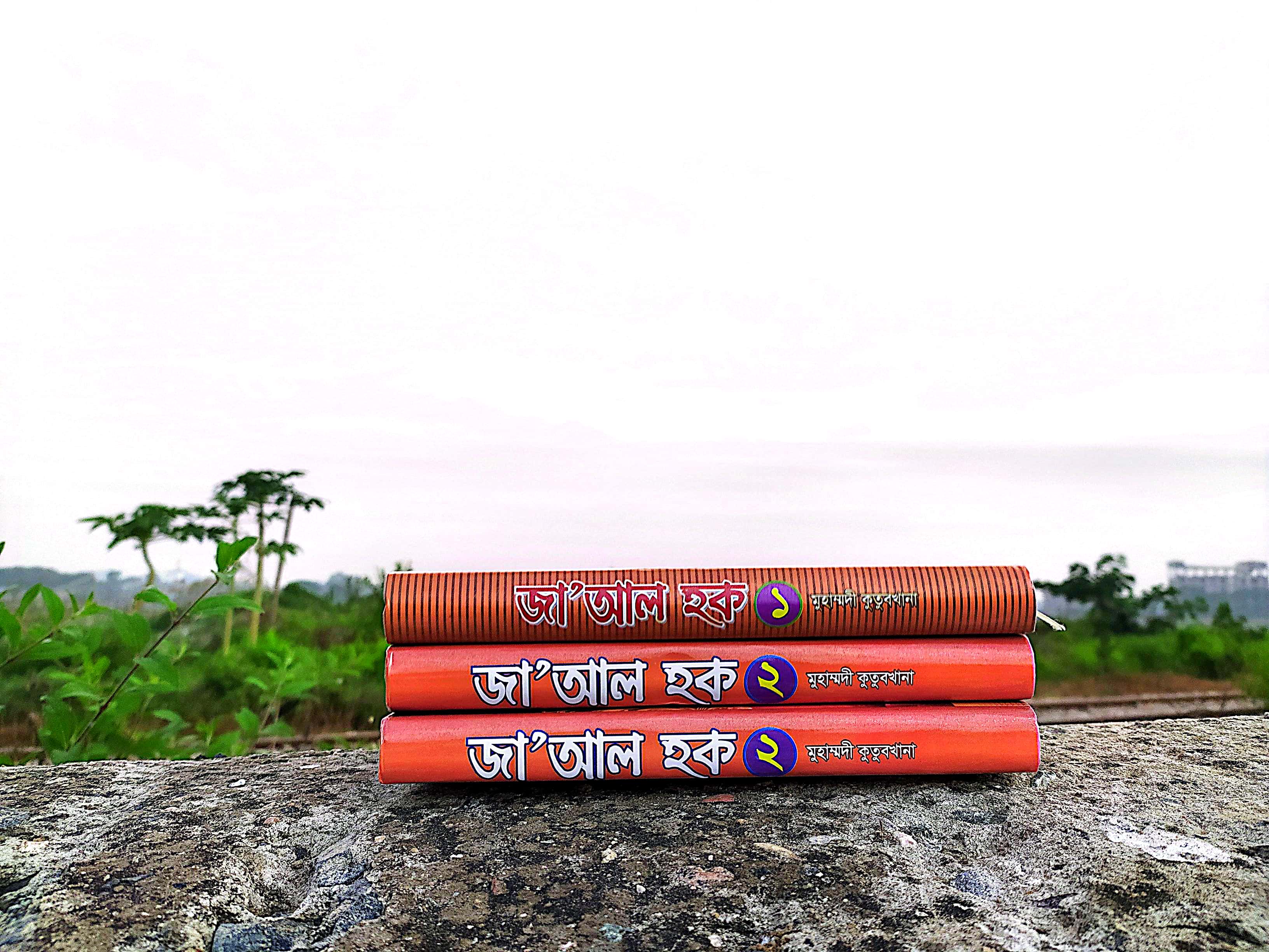 জা' আল হক। (১-৩খন্ড)_img_1