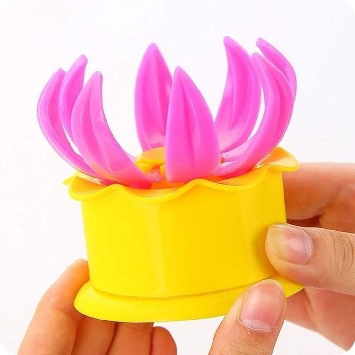 Momo Maker_img_3
