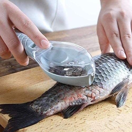 Fish Scale Remover_img_1