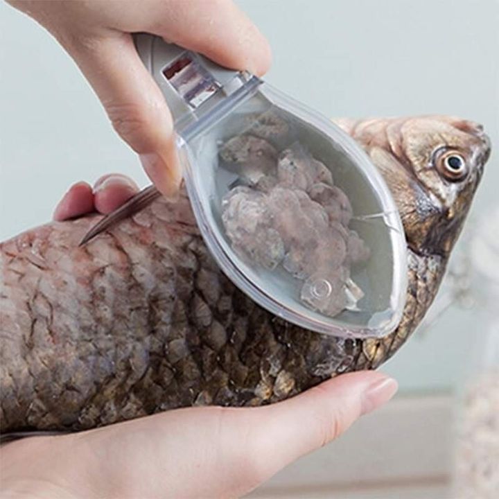Fish Scale Remover_img_2