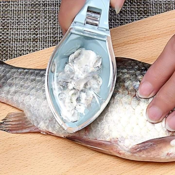 Fish Scale Remover_img_3