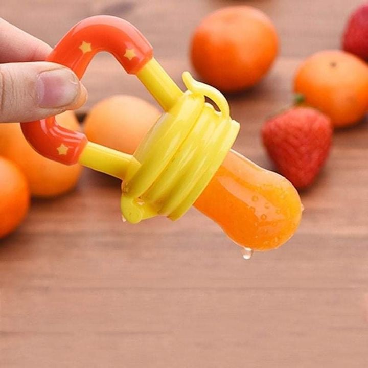 Baby Fruit Feeder/Pacifier