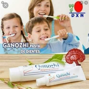 Ganozhi Toothpaste 75g