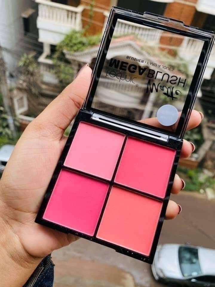 Technic matte mega blusher(original)