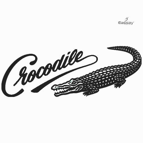 Crocodile