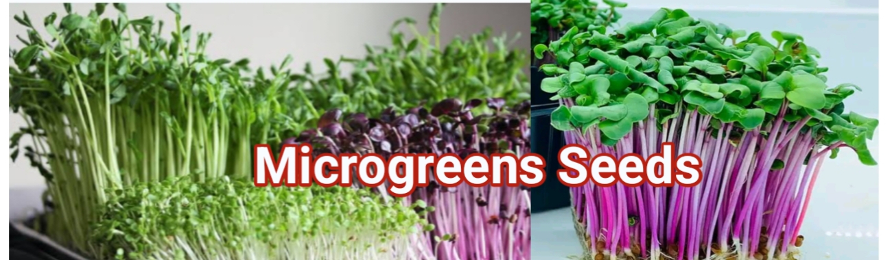 Microgreens Seeds